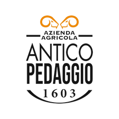 Logo di Antico Pedaggio