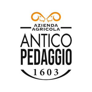 Logo di Antico Pedaggio