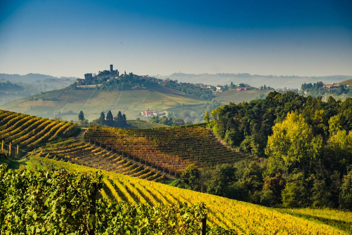 Le colline delle Langhe